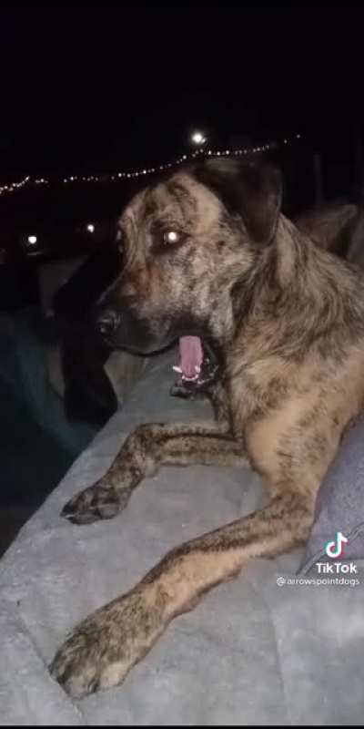 He’s shocked