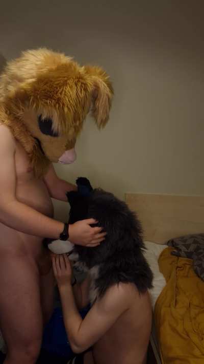 This mutt sure knows how to please me~ Tw1tt<wbr>er:Va<wbr>culfA<wbr>D