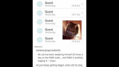 Guest