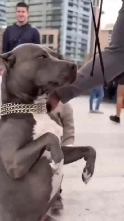 ‎