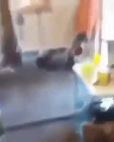 ︎