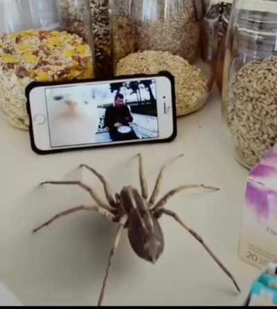 me_irl