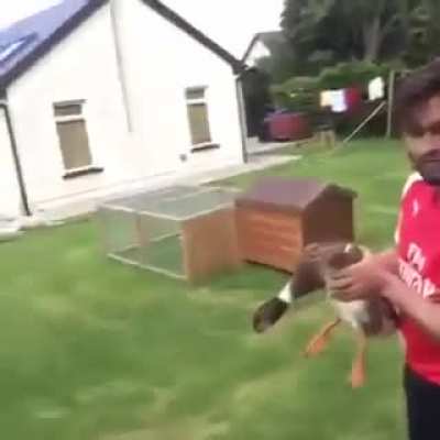 Oh no. Look out!