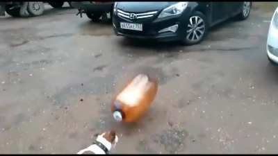Fetch