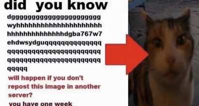 Did You...?
