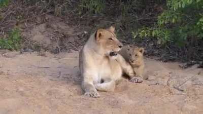 Playing with mom