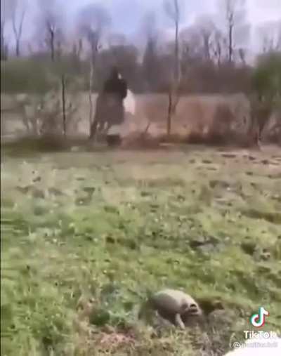 Horse go brrrrt