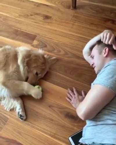 When you're lazy, but still wanna play fetch.