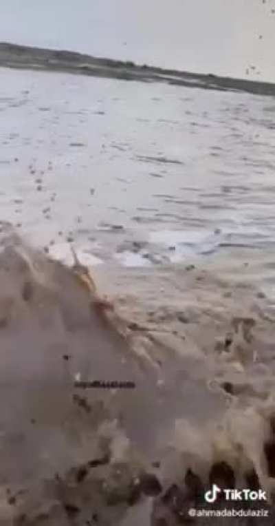 Красивый вид.