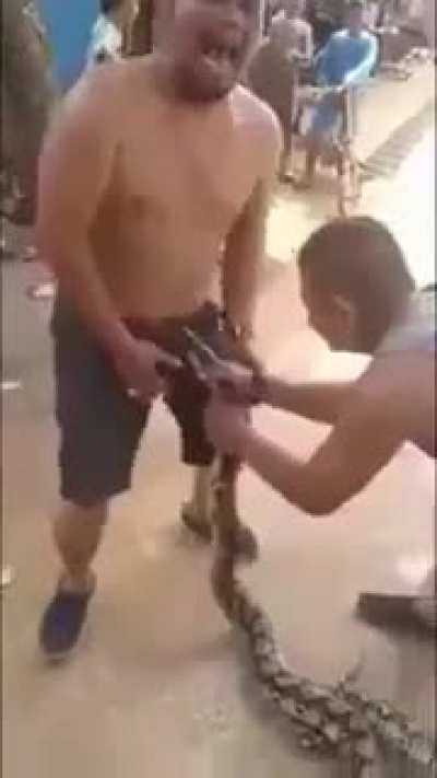 🐍🏳️‍🌈