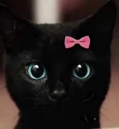🖤