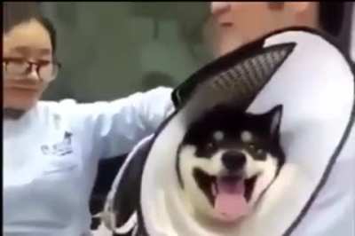 It's all fun and games until someone gets a vaccine