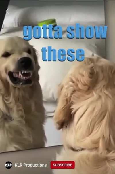 Very scary