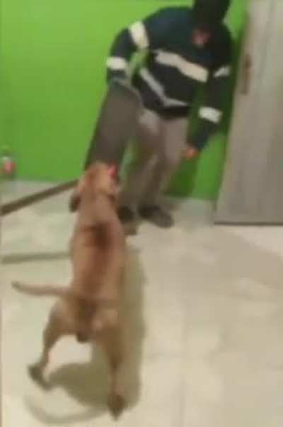 Dark souls irá ter live action e essas cena absurda foi vazada da série!!!!