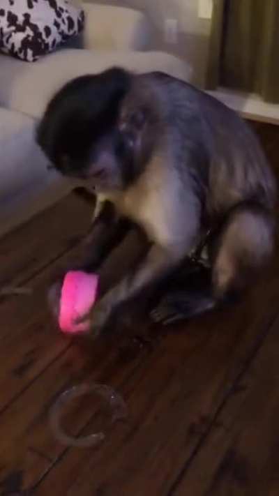 Monkey playing with slime (empow.io)