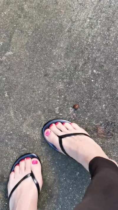 Thin dressy flip flops vs snails