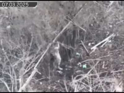 Russian soldier intercepts Ukrainian FPV by kicking it. (Date: reported 3/7/2025 / Location: not provided)