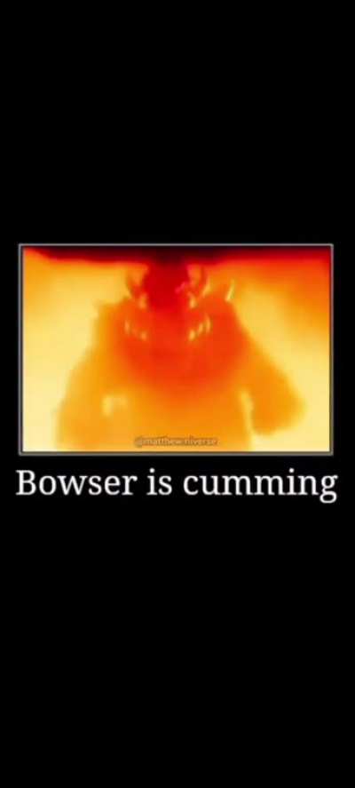 Bowser 🤨