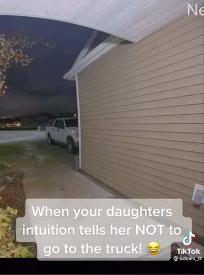 Intuition