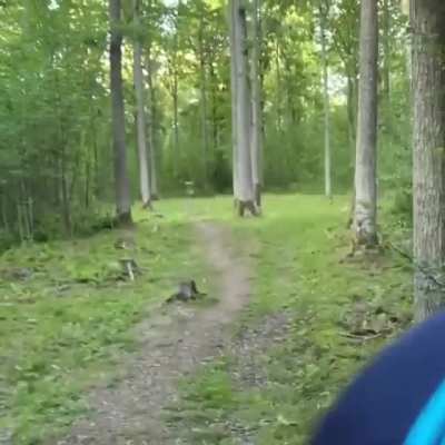 Most casual disc golf ace ever