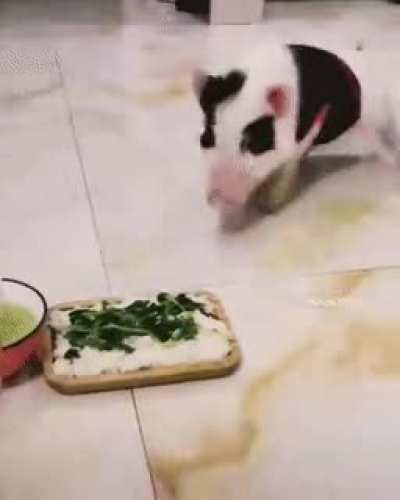 Formula oink
