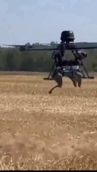 Ukraine is using 
