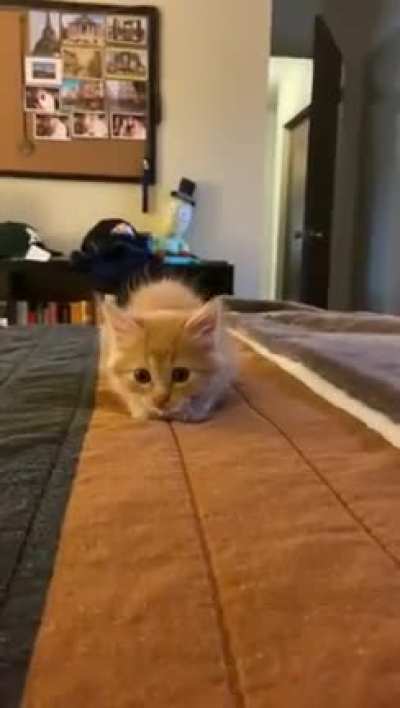 He attack