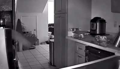 Cat launched from table