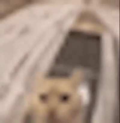 Wow