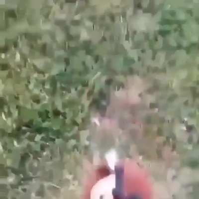 dora is fucking dead