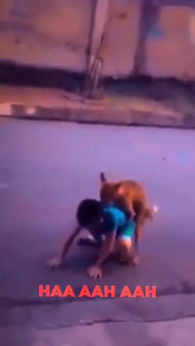 dog
