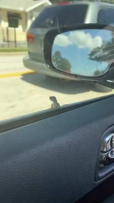 Geico’s marketing is getting out of hand.