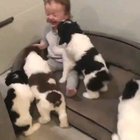 BABY MAULED TO DEATH BY A PACK OF HUNGRY WOLVES
