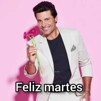 Feliz malte