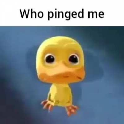 Discord moment