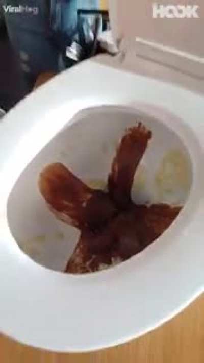 Found on Facebook, this is gross