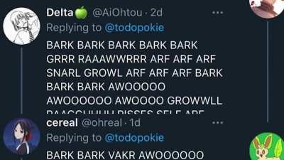 Betas bark for Twitter girl
