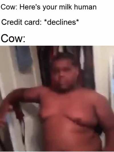 That milk belongs to me Hooman!