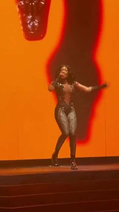 Megan Thee Stallion 