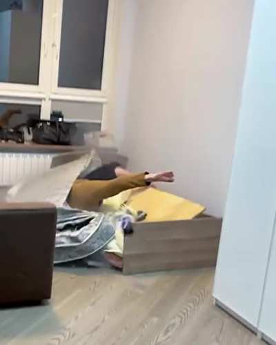 Катап<wbr>ульта