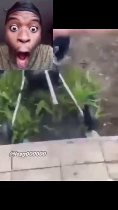 😡😡😡👎😐