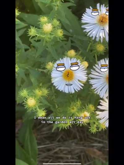 Beeing a flower is awesome