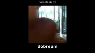 Dobreum (Crédito para Joseplayip yt)