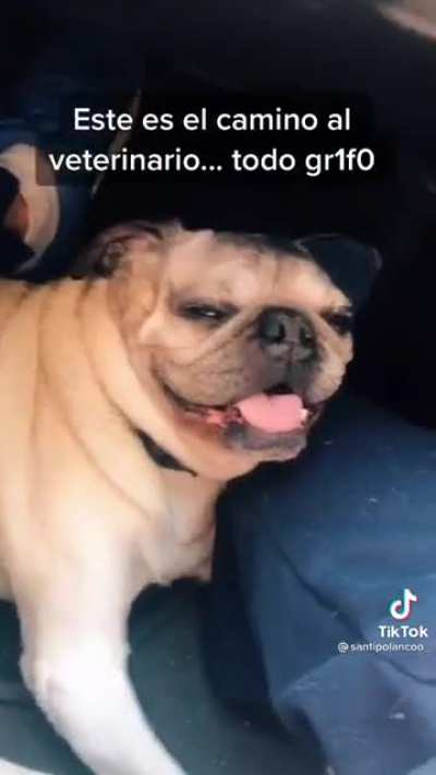 Admiración