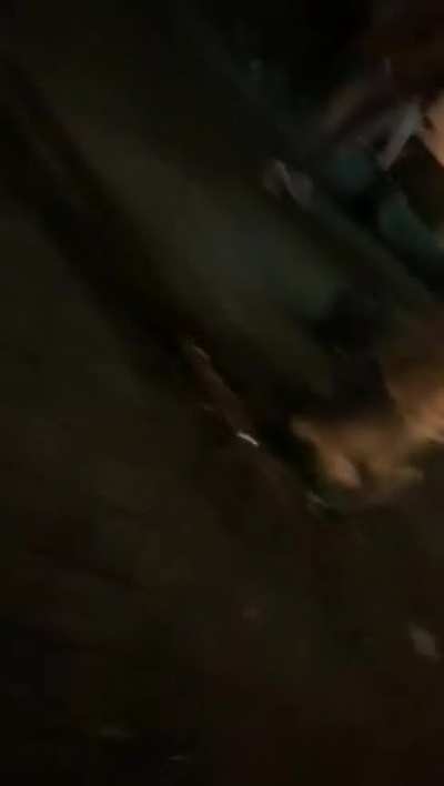 Dude is not happy with the fireworks and turns it upsidedown when its already on fire