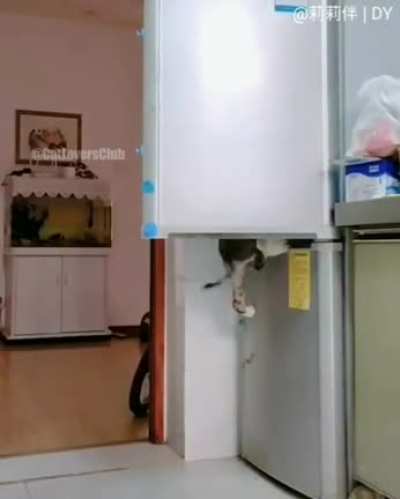 Fridge robbery
