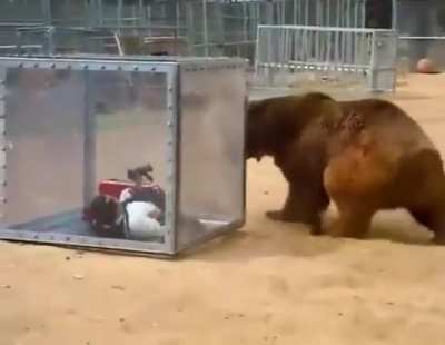 She sure is scared