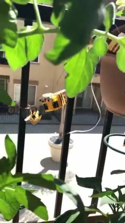 Minecraft bees