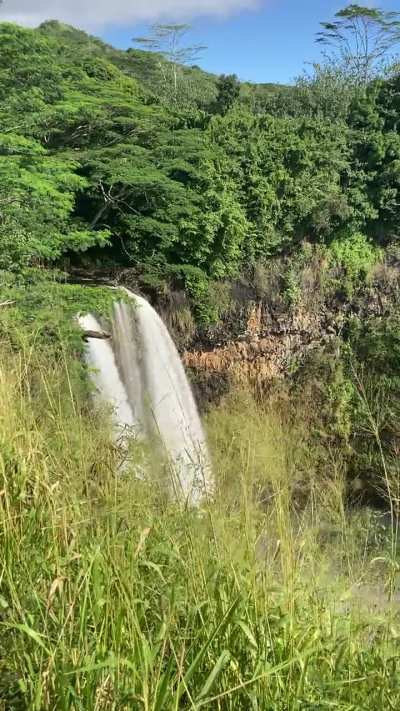 Waterfall in Kauai, Hawaii