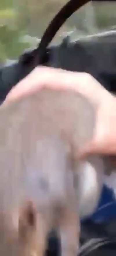 Gotta love random videos from your friends.